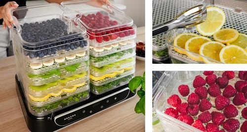 DUŻA SUSZARKA DO GRZYBÓW OWOCÓW WARZYW ZIÓŁ 6 SIT MOCNA 550W ZESTAW na Arena.pl