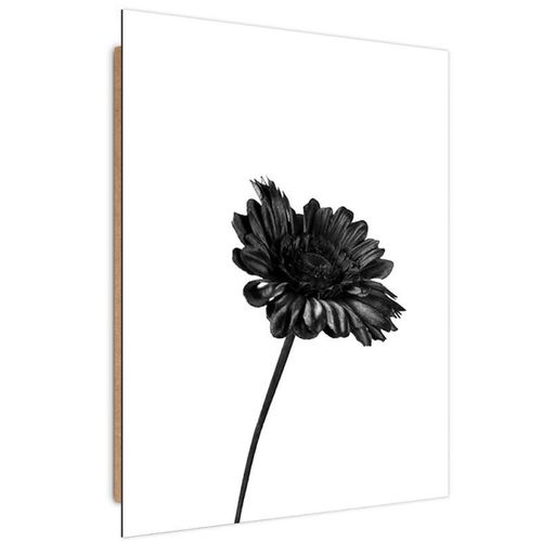 Deco Panel, Pojedynczy kwiat 2 60x80 na Arena.pl