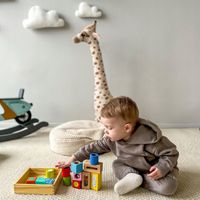 KLOCKI SENSORYCZNE MONTESSORI UKŁADANKA DREWNIANE TRENING MÓZGU TOOKY TOY