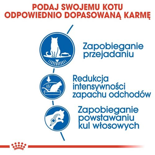 Karma dla żarłocznych kotów przebywających tylko w domu - Royal Canin 400g na Arena.pl