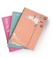 Teczka 2Cm Z Gumką - No Probllama 1738