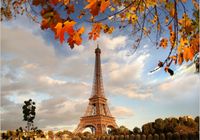 nowoczesna FOTOTAPETA Paryż Wieża Eiffla 390x280