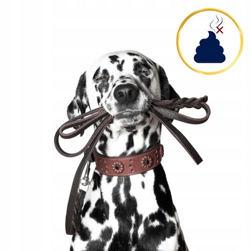 SUCHA KARMA DLA PSA POLARIS ADULT BEZ ZBÓŻ WOŁOWINA INDYK 12KG ŚWIEŻE MIĘSO na Arena.pl