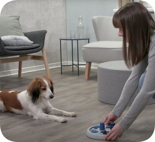 ZABAWKA EDUKACYJNA GRA INTERAKTYWNA PSA FLIP BOARD na Arena.pl