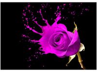 50X70CM PLUSK OBRAZ POKOJU DREWNINE