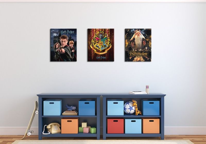 Harry Potter Harry Ron Hermione - Obraz na płótnie 40x50 cm zdjęcie 3