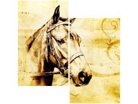 60X60CM GŁOWA KONIA DWU OBRAZ ŚCIAN