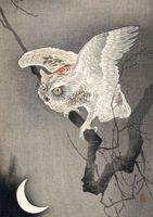 Plakat 29,7x42cm Scops Owl in Moonlight, Koson Japoński Vintage do Salonu