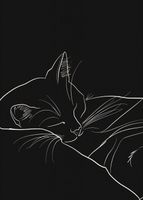 Plakat 39,5x55cm Nocny Spokój