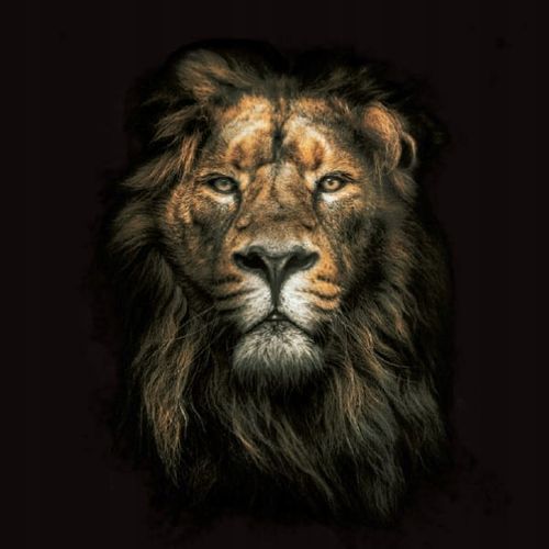 BARDZO MOCNE MĘSKIE FEROMONY ZAPACHOWE IMPI MAN 15 ML na Arena.pl