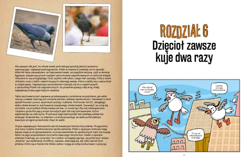 Detektyw Wróbel i złamane pióro na Arena.pl