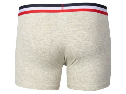 Bokserki Nasa Boxer Basic-Stripe Grey NASA-BOXER50 S na Arena.pl