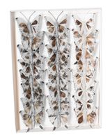 MOTYLE NA KLIPSIE MOTYLKI DEKORACYJNE 24SZT 5 CM FIRANY