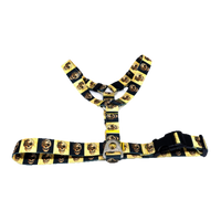 Szelki Superdog, czaszki, rozmiar M