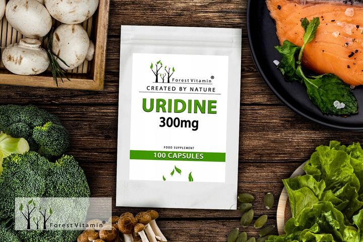 FOREST URYDYNA UMP 100 kaps ALZHEIMER MÓZG zdjęcie 9