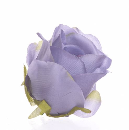 Róża główka grey edge green na Arena.pl