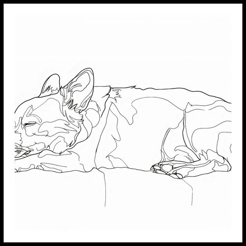 Plakat 90x90cm Śpiący Psiak na Arena.pl