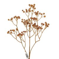 product-compare-61190706