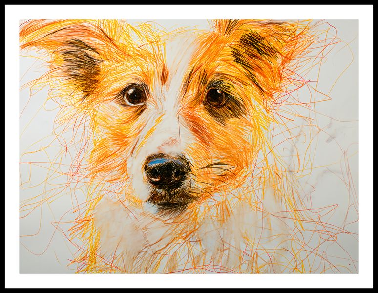 Plakat 80x60cm Uroczy Gość zdjęcie 3