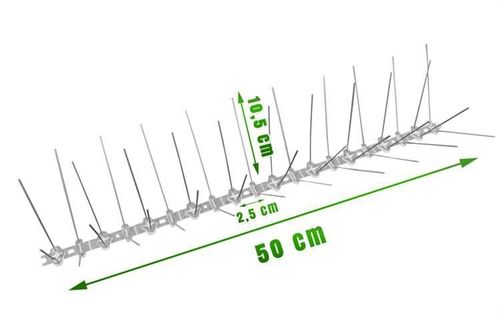 Kolce na ptaki na Arena.pl