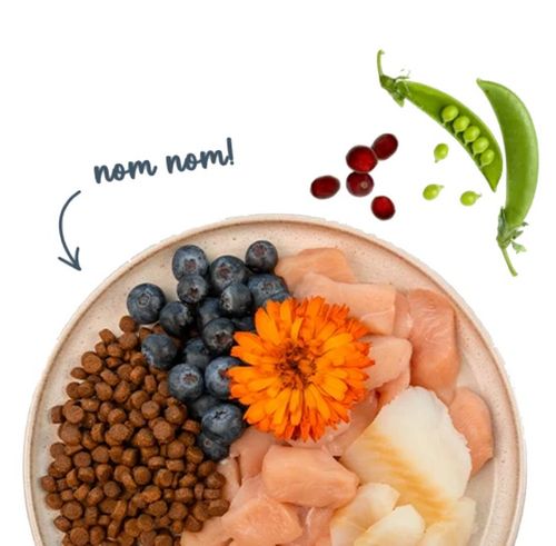 Sanabelle Adult Forelle - Z Pstrągiem 400G na Arena.pl