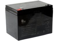 Akumulator Żelowy AGM Do Pojazdu Na Akumulator 24V5AH