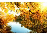 product-compare-58693888