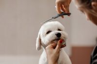 product-compare-60559050