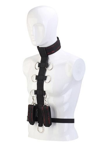 blaze deluxe collar body restraint na Arena.pl