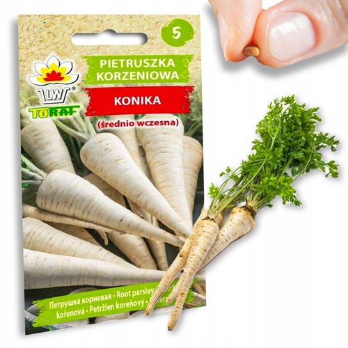 Nasiona warzyw marchew ogórek pietruszka burak NA DOBRY START UDANE PLONY na Arena.pl