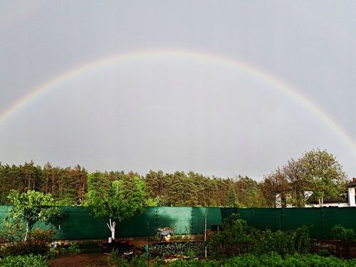 SIATKA CIENIUJĄCA 90% MASKUJĄCA MATA OSŁONOWA NA OGRODZENIE PŁOT 1,5x50m UV na Arena.pl