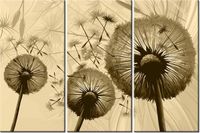 60 90CM OBRAZ 3 ELEM DMUCHAWCE KREMOWYM TLE DRUK PŁÓTNO RAMA