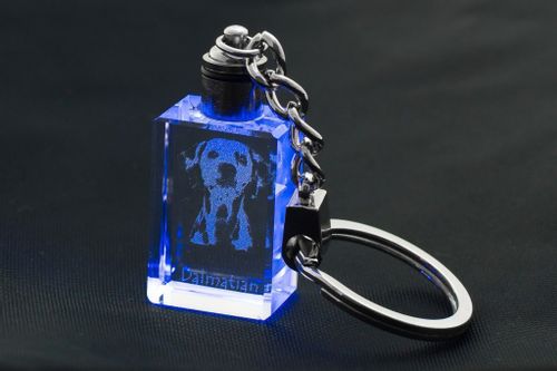 Dalmatyńczyk - kryształowy brelok z wizerunkiem psa na Arena.pl