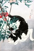 Plakat 20x30cm Cat with Tomato Plant, Takahashi Japoński Vintage do Salonu