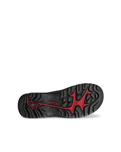 Buty męskie ECCO Offroad roz.46 na Arena.pl