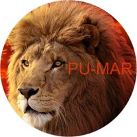 Opłatek na tort Lew Król Zwierząt Kot Kocur Kotek Gepard Puma Tygrys