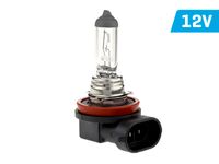 Żarówka VISION H8 12W 35W PGJ19-1 U E4