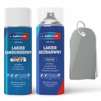 lakier samochodowy w sprayu + bezbarwny połysk ford moondust silver