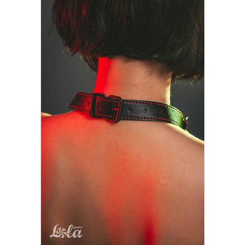 knebel do ust kość drążek dominacja bdsm bondage na Arena.pl