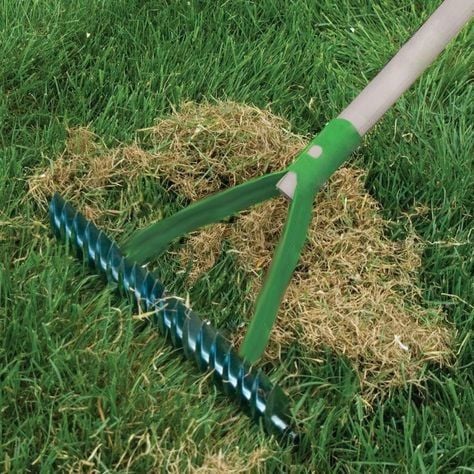 AERATOR WERTYKULATOR trawa oddycha GRABIE wiosna zdjęcie 7