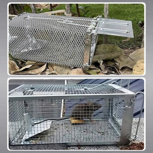 PUŁAPKA ŻYWOŁAPKA NA SZCZURY MYSZY GRYZONIE KUNY ŁAPKA DO ŁAPANIA na Arena.pl