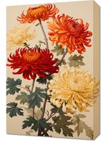 Obraz 40x60cm Tańczące Chryzantemy