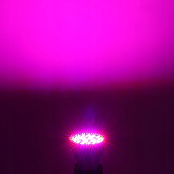Mocna Żarówka Led E27 Grow 40 W Do Uprawy Roślin zdjęcie 3