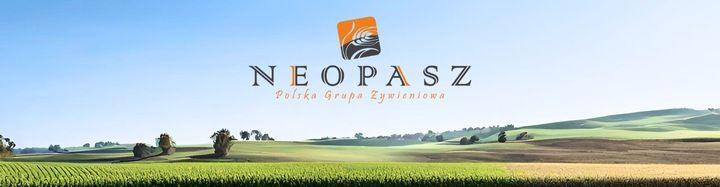 SUPER ZESTAW Karmnik dla ptaków zasypowy + KARMA DLA PTAKÓW 4kg! zdjęcie 5