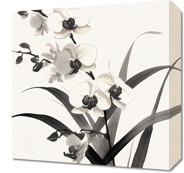 Obraz 40x40cm Orchidea zdjęcie 1