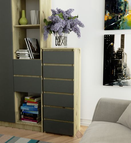 Komoda CL6 40 cm 6 szuflad - dąb artisan szara na Arena.pl