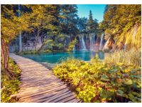 product-compare-58712177