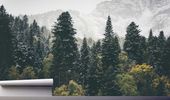 Fototapeta WIDOK GÓRSKI LAS WE MGLE ŚNIEŻNEJ
