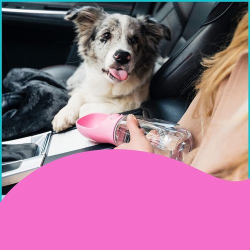 Butelka na wodę dla psa poidło do picia z dozownikiem 550 ml na Arena.pl