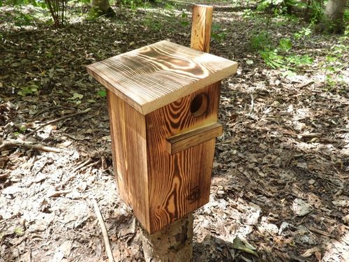 Budka dla wiewiórki Domek opalany na Arena.pl